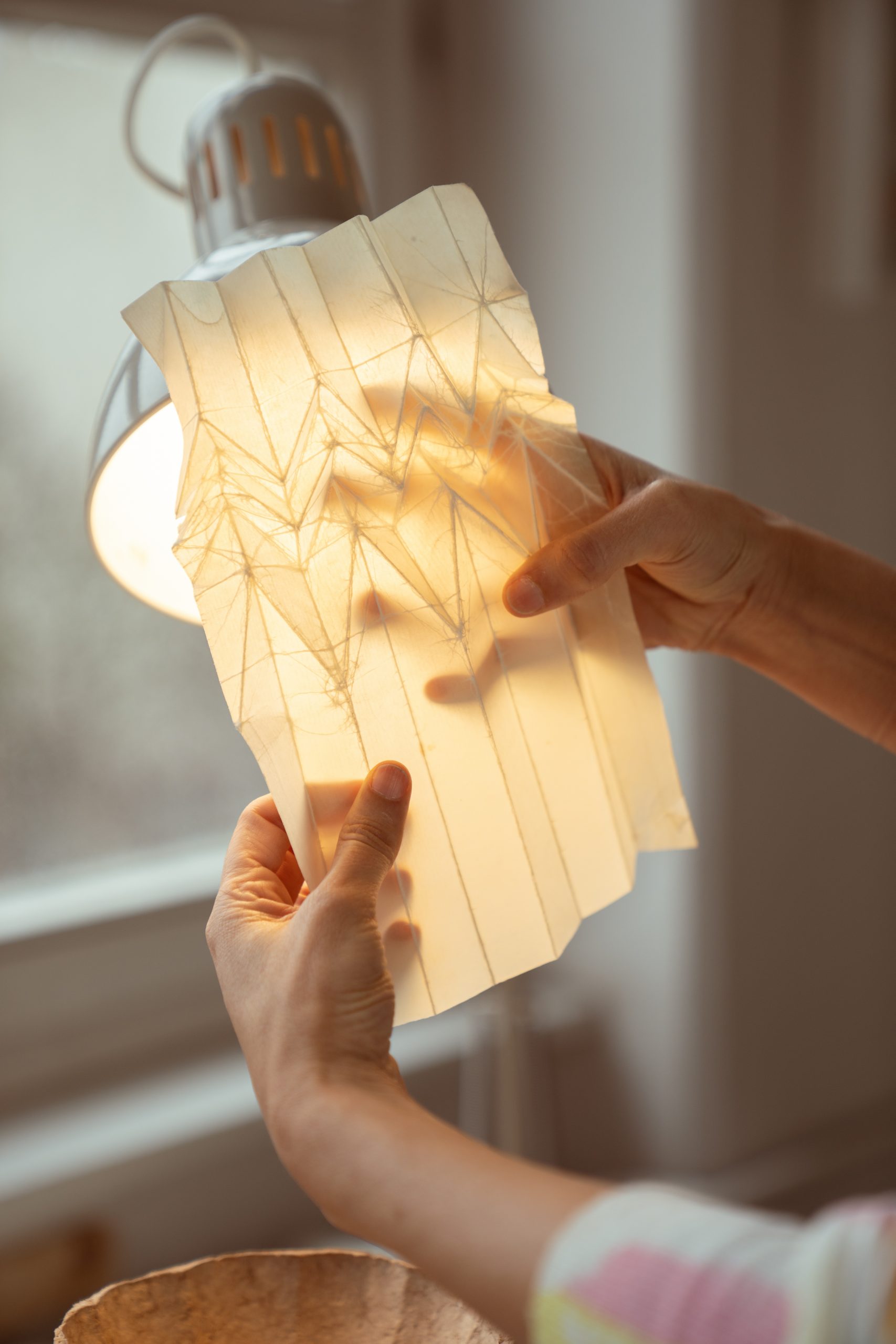 Taller de papel encerado